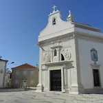 T1 Moliceiros Centro De *