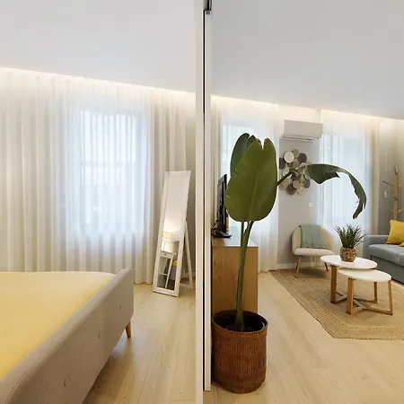 T1 Moliceiros Centro De