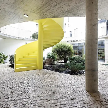 T1 Moliceiros Centro De *