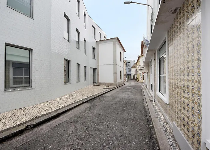 T1 Moliceiros Centro De *