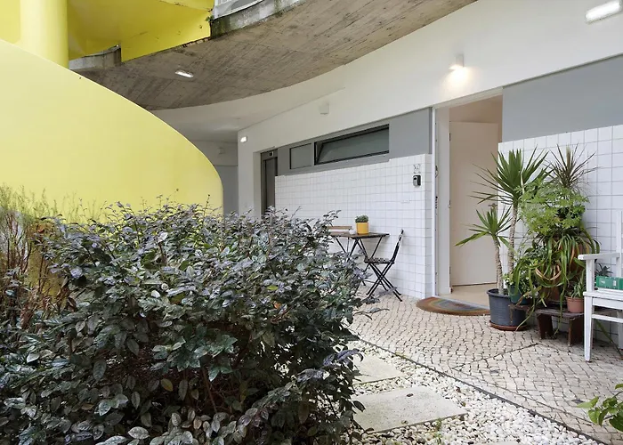 T1 Moliceiros Centro De * 아베이루