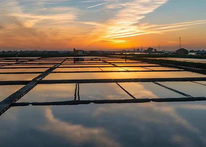 T1 Moliceiros Centro De 아파트 *