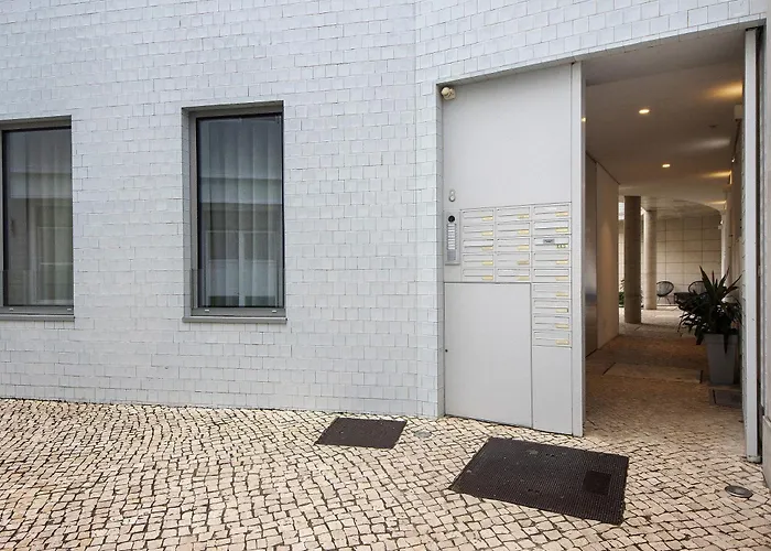 T1 Moliceiros Centro De 아베이루